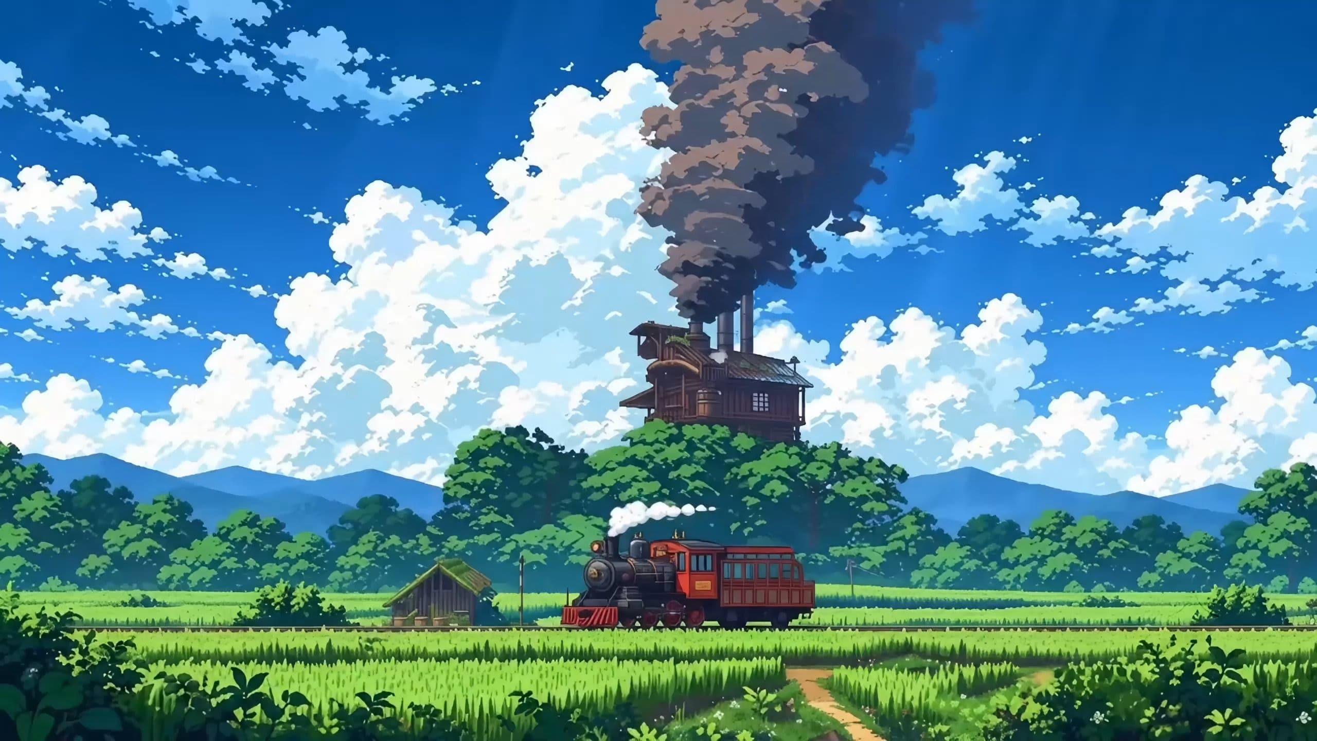 A Journey Through the Summer Fields